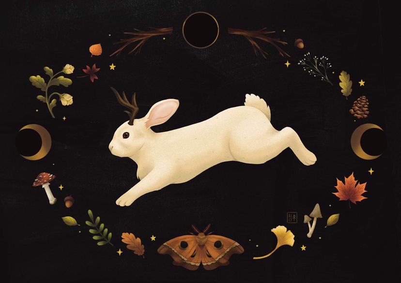 Jackalope